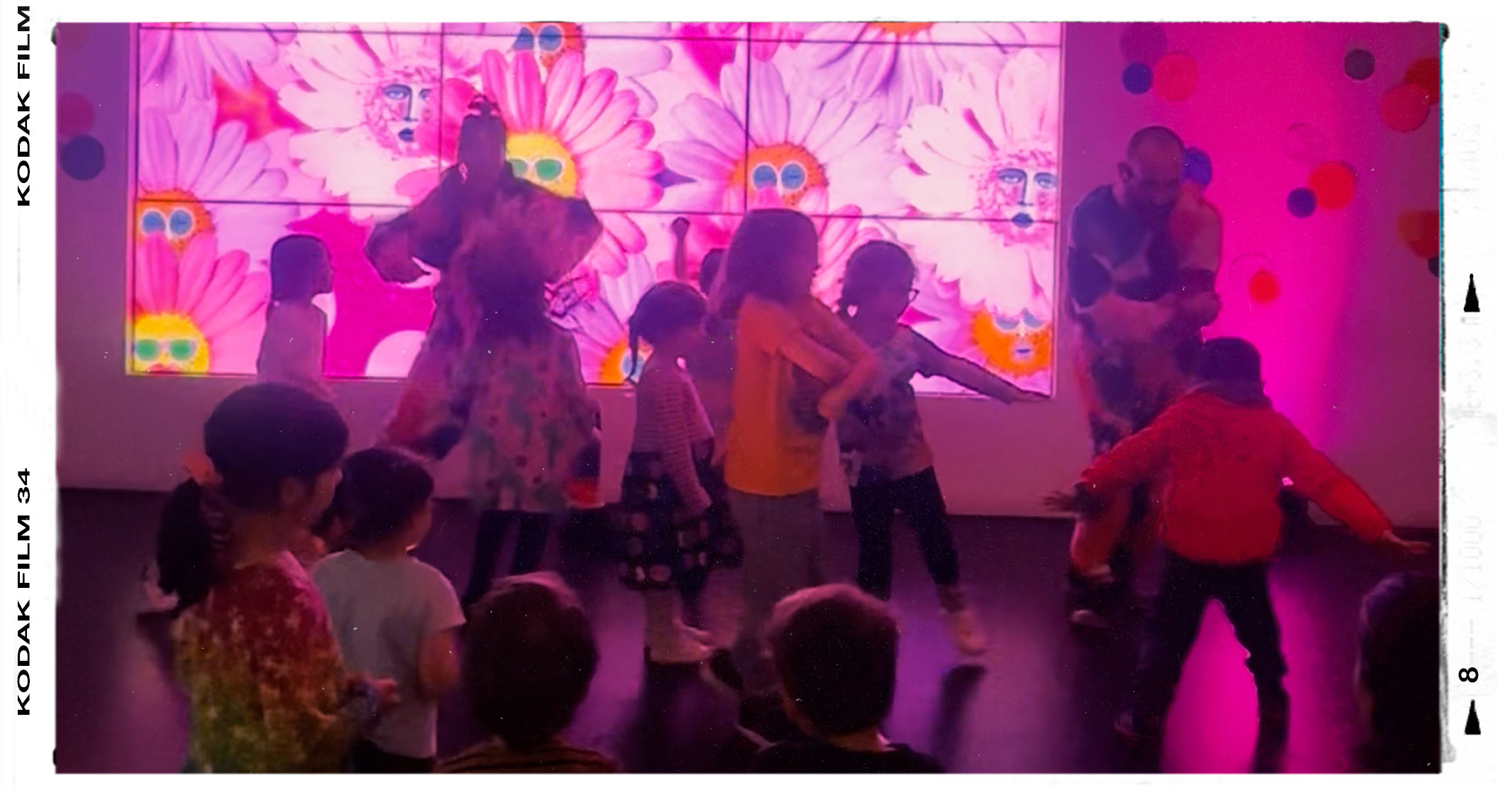 dot-dot-dance-full-bloom